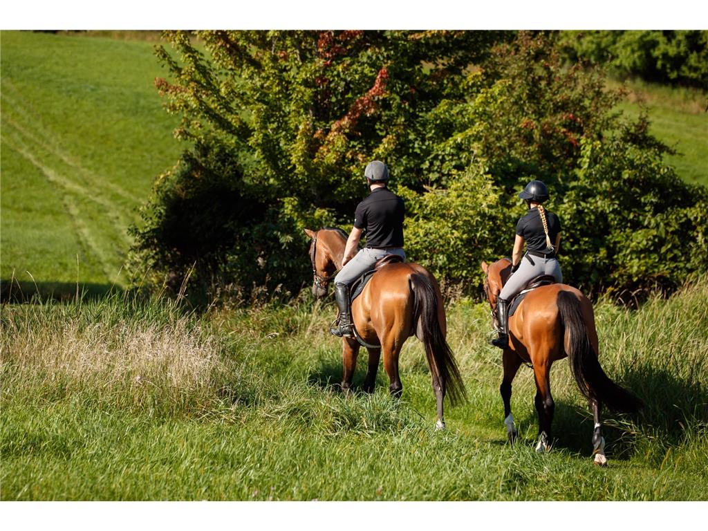 9685 County Road 13 SE Franklin Twp MN 55328 6758558 image233