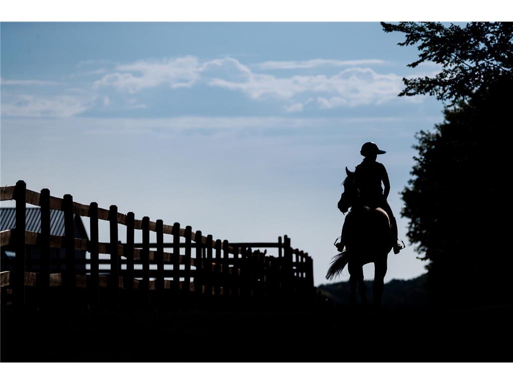 9685 County Road 13 SE Franklin Twp MN 55328 6758558 image234