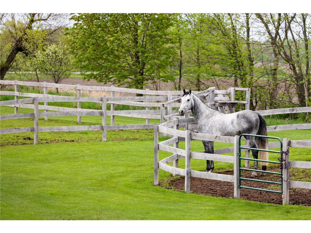 9685 County Road 13 SE Franklin Twp MN 55328 6758558 image235