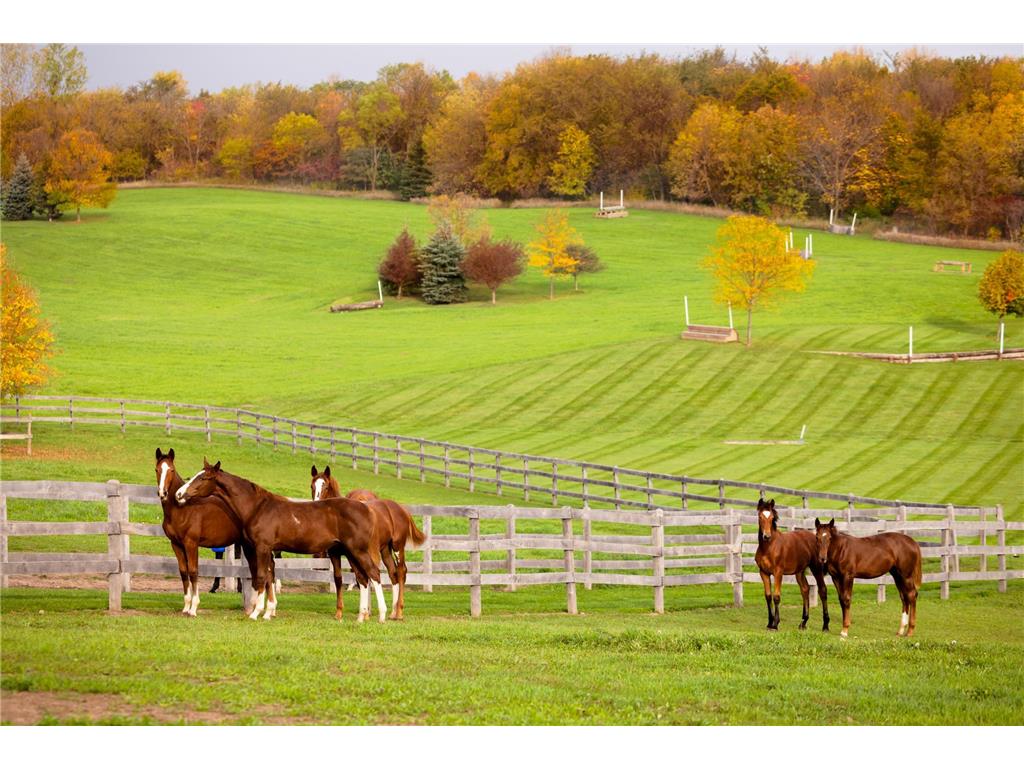 9685 County Road 13 SE Franklin Twp MN 55328 6758558 image4