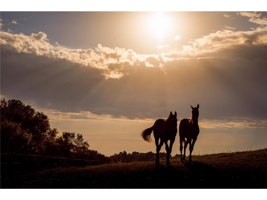 9685 County Road 13 SE Franklin Twp MN 55328 6758558 image46