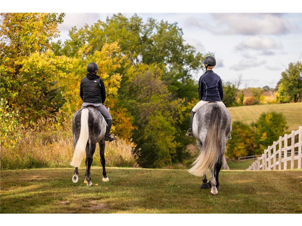 9685 County Road 13 SE Franklin Twp MN 55328 6758558 image50