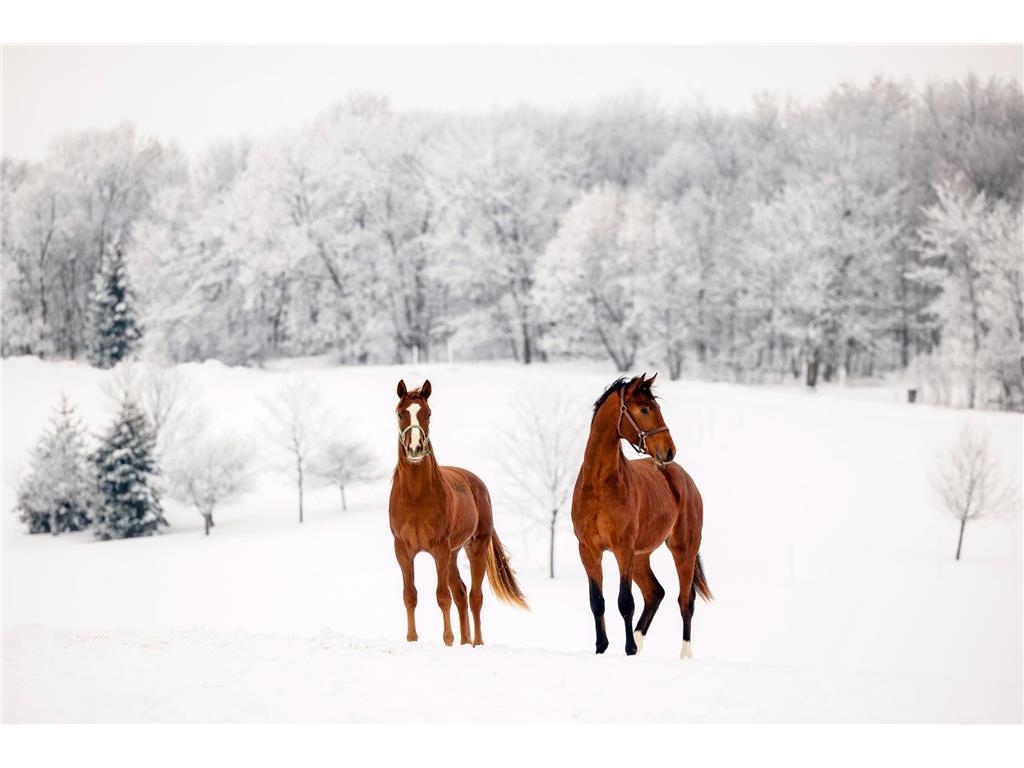 9685 County Road 13 SE Franklin Twp MN 55328 6758558 image56