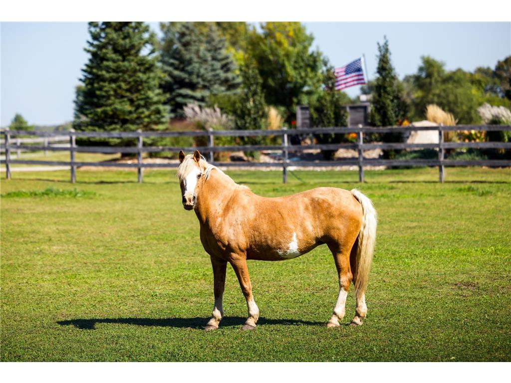 9685 County Road 13 SE Franklin Twp MN 55328 6758558 image61