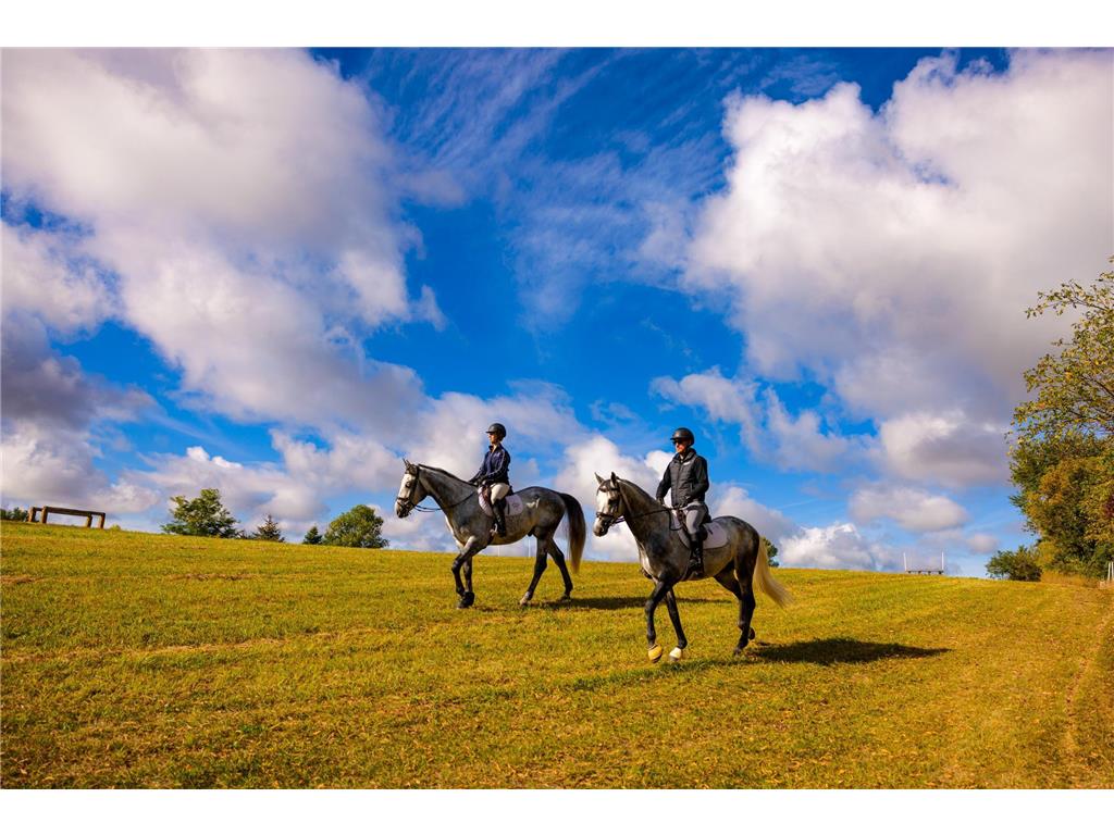 9685 County Road 13 SE Franklin Twp MN 55328 6758558 image74