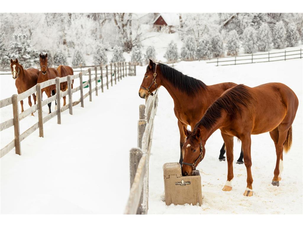 9685 County Road 13 SE Franklin Twp MN 55328 6758558 image80