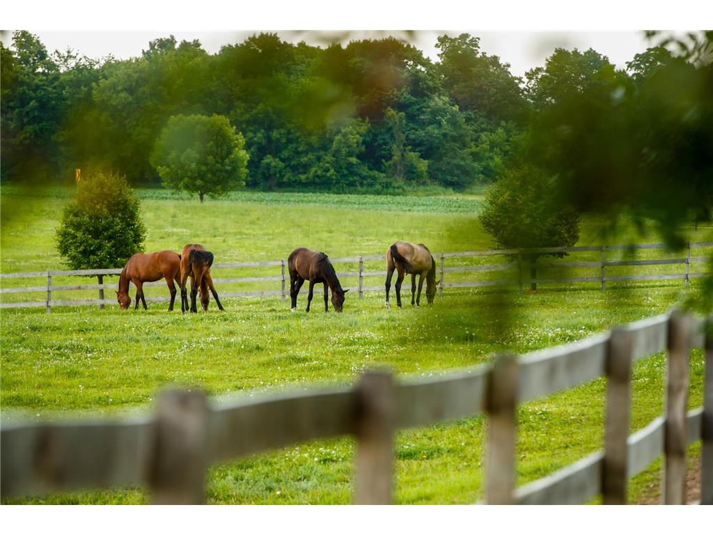 9685 County Road 13 SE Franklin Twp MN 55328 6758558 image85