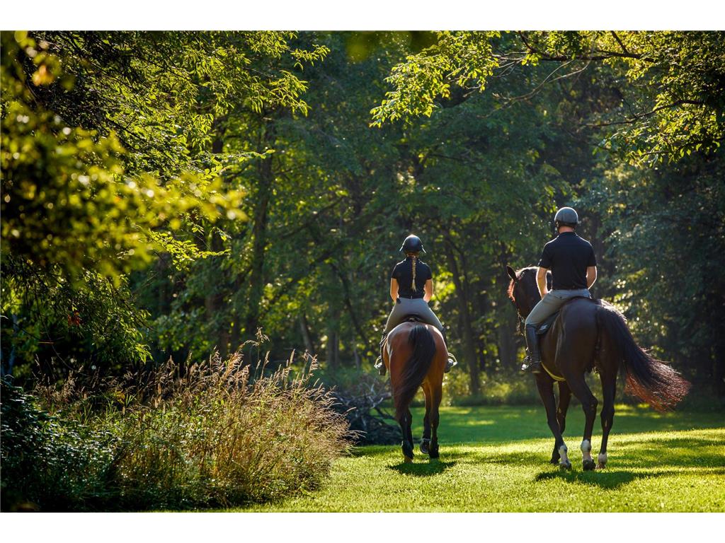 9685 County Road 13 SE Franklin Twp MN 55328 6758558 image95