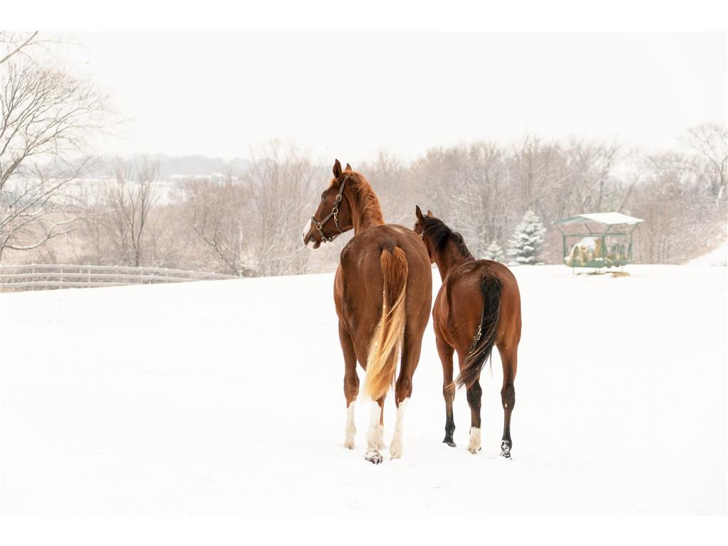 9685 County Road 13 SE Franklin Twp MN 55328 6758558 image98