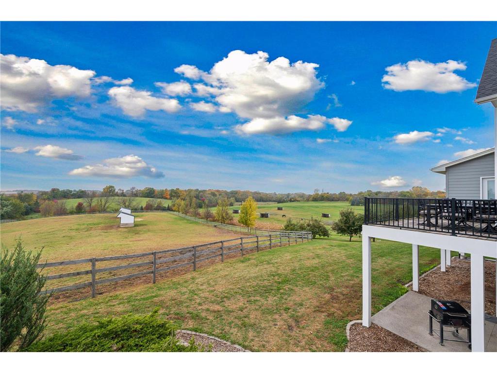 9685 County Road 13 SE Franklin Twp MN 55328 6758558 image99