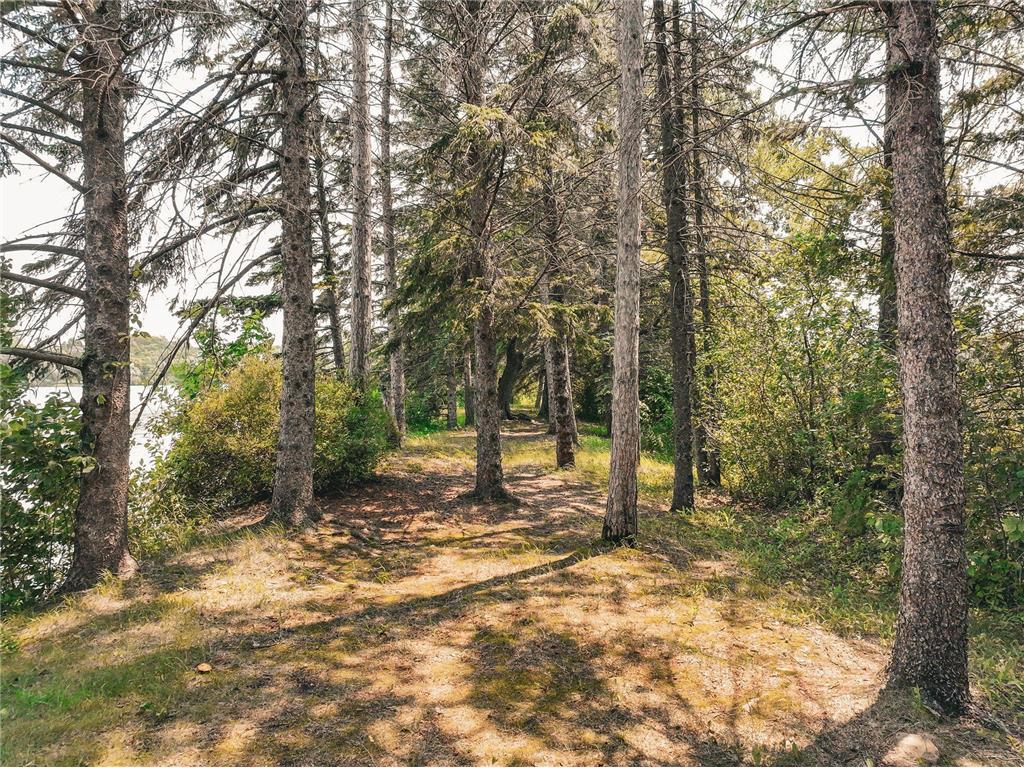 9685 Lakewood Circle Laketown Twp MN 55318 - Piersons 7094939 image15