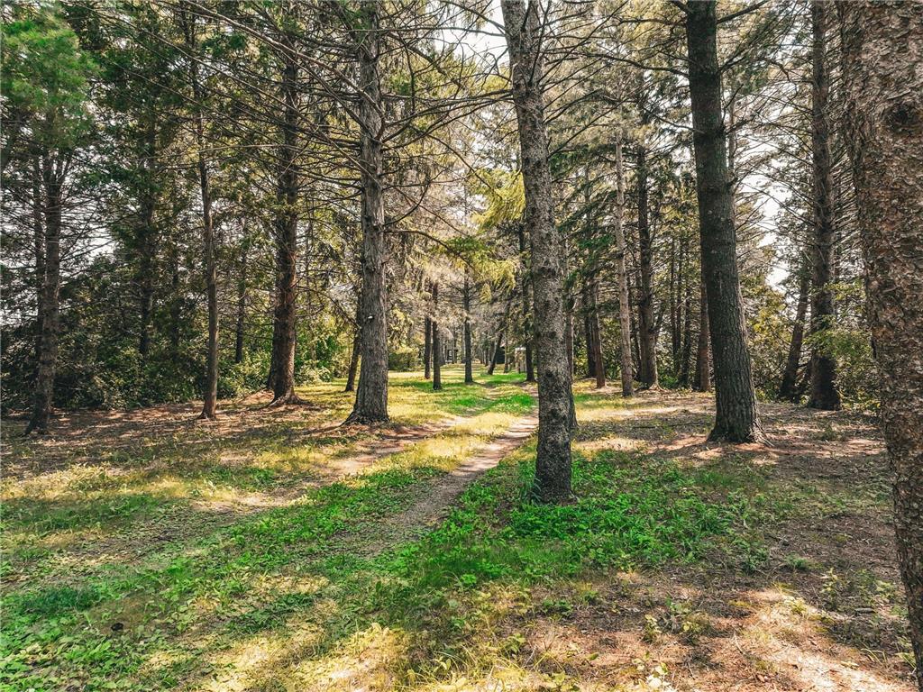 9685 Lakewood Circle Laketown Twp MN 55318 - Piersons 7094939 image23