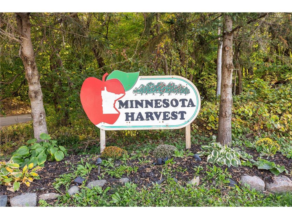 969 Stone Creek Drive Jordan MN 55352 6816246 image28