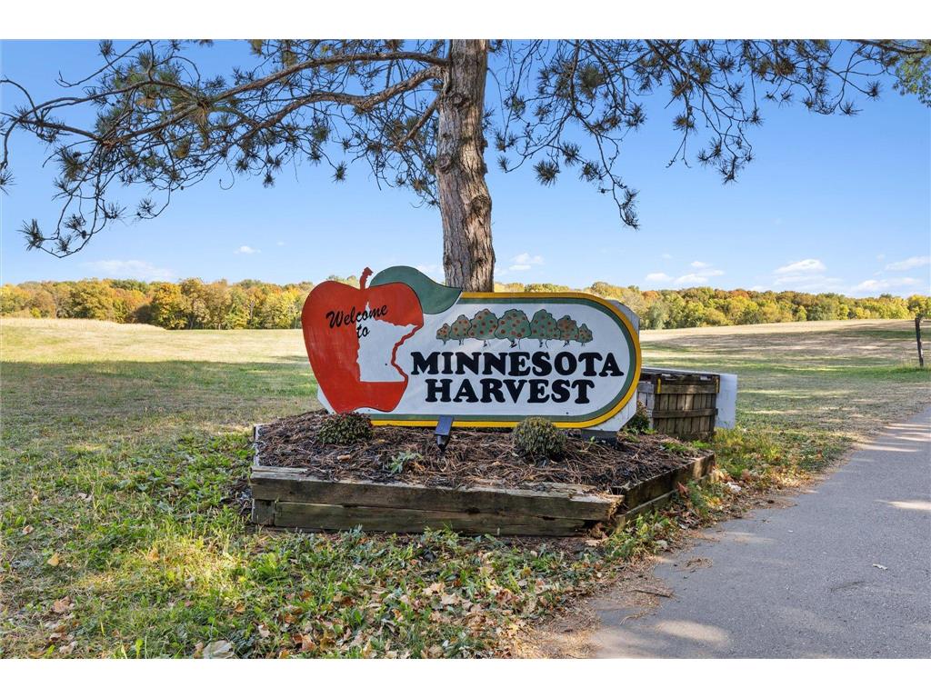 969 Stone Creek Drive Jordan MN 55352 6816246 image29