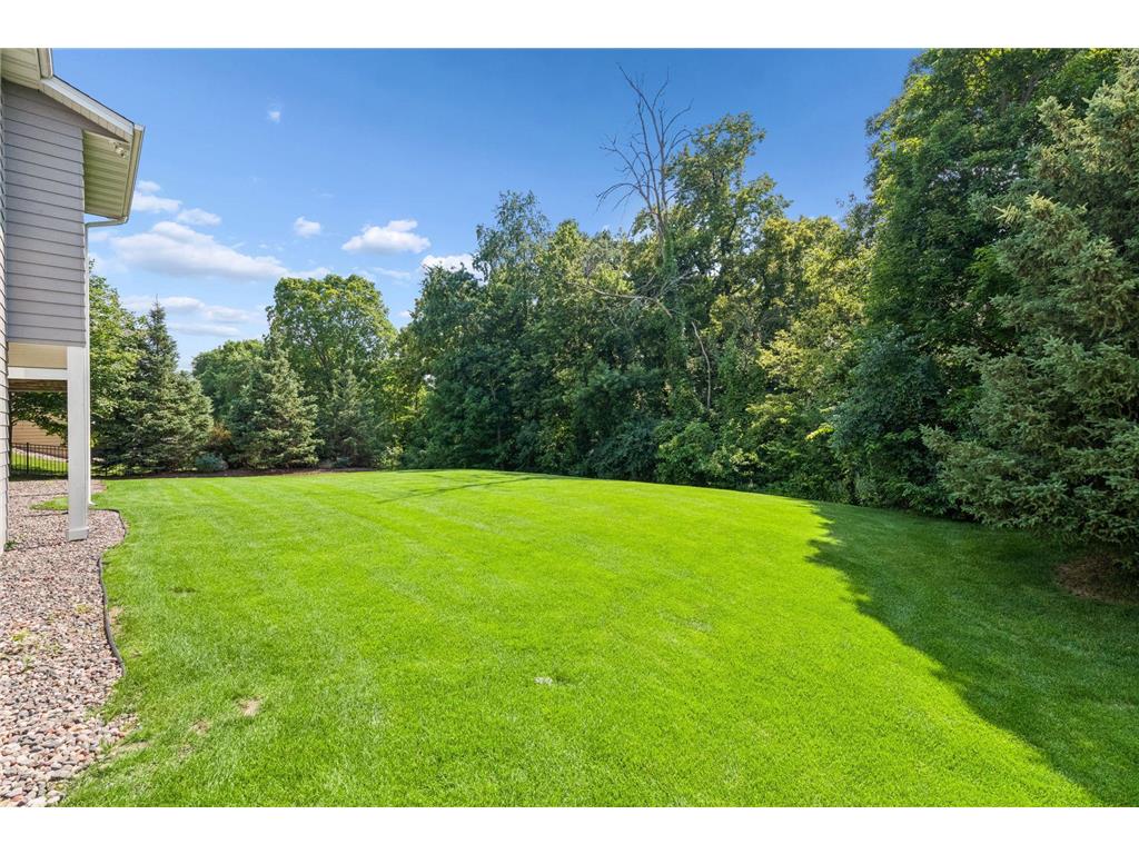 9690 Sky Lane Eden Prairie MN 55347 7072610 image73
