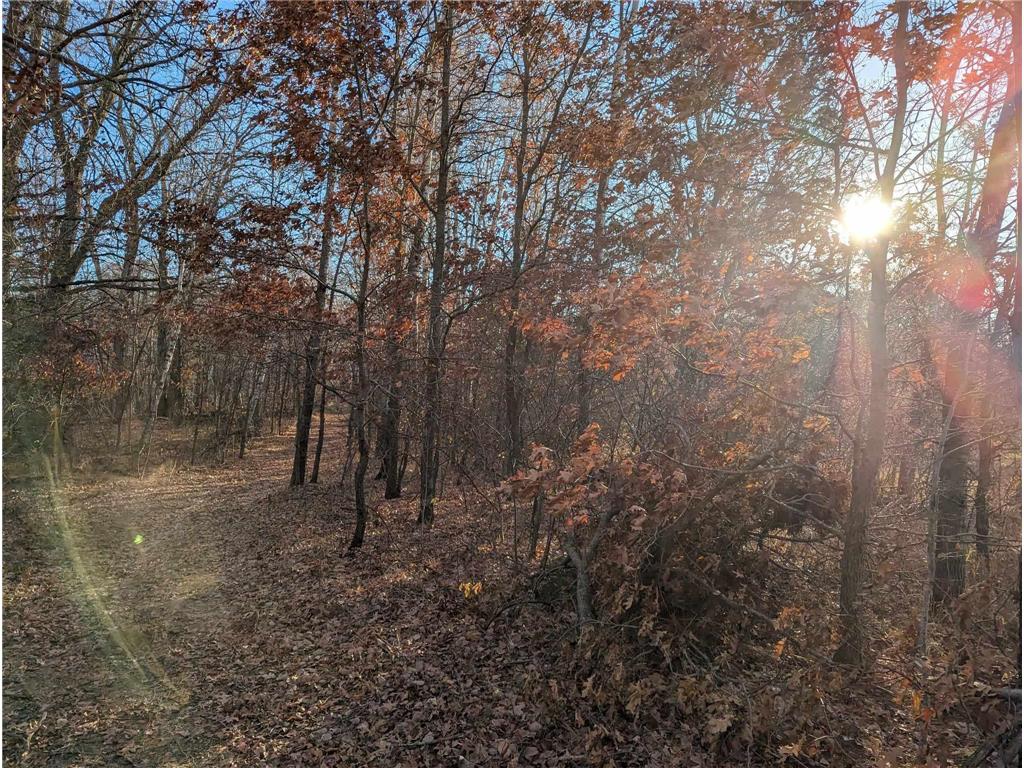 96xx 281st Avenue NE North Branch MN 55056 6467446 image1