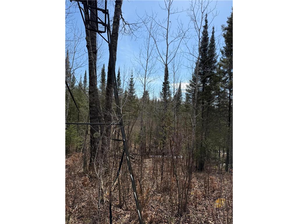 96xx Gappa Road Kabetogama Twp MN 56669 7063643 image10