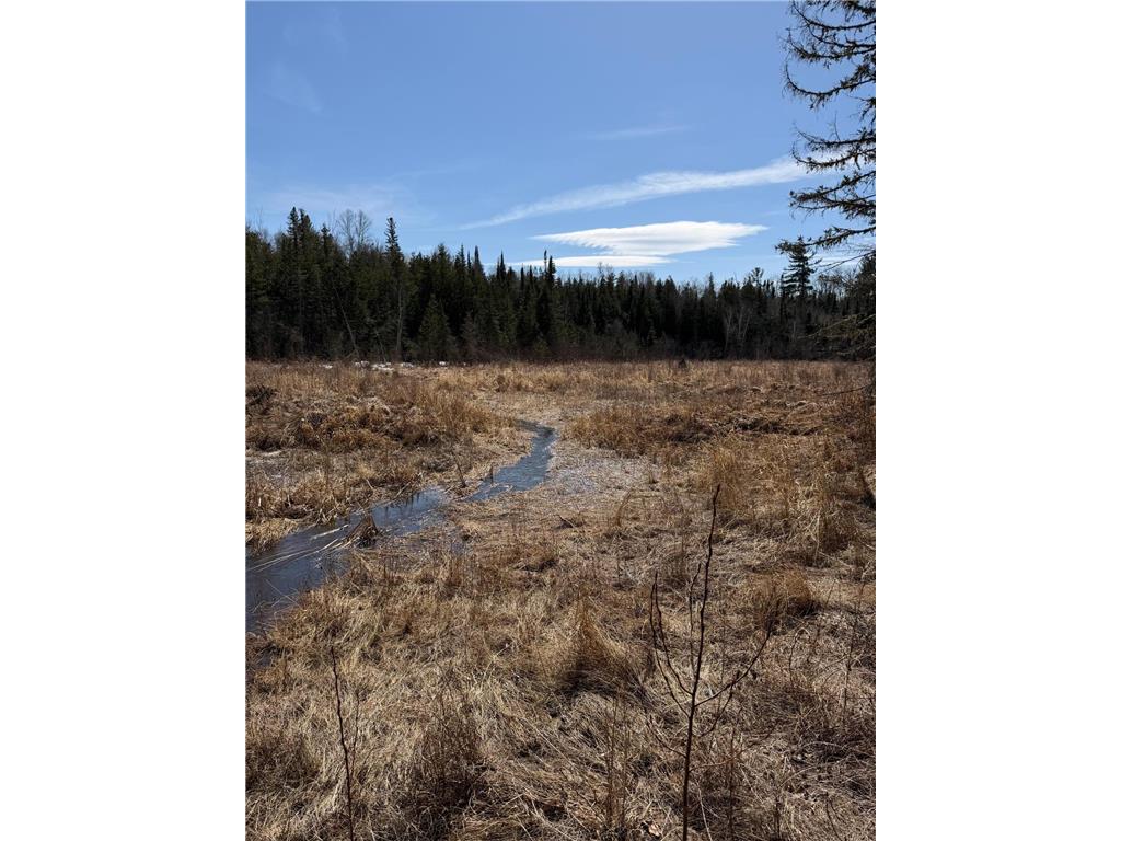 96xx Gappa Road Kabetogama Twp MN 56669 7063643 image11