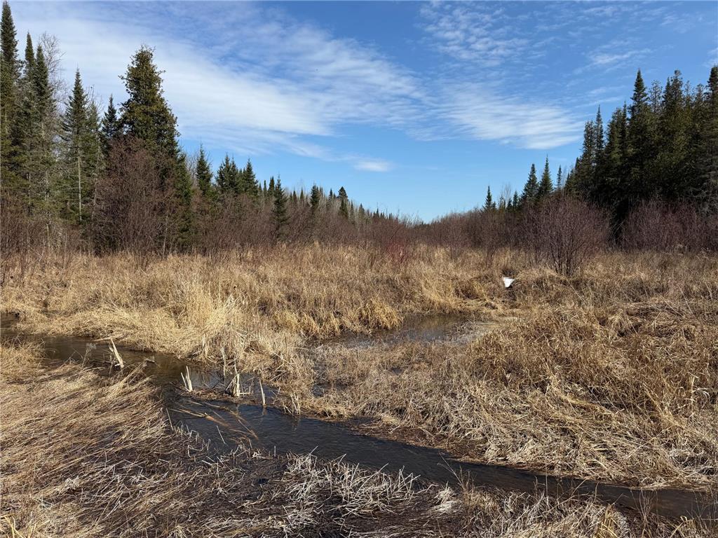 96xx Gappa Road Kabetogama Twp MN 56669 7063643 image12