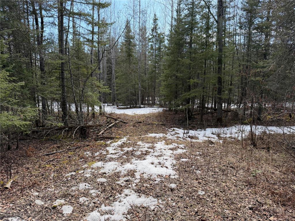 96xx Gappa Road Kabetogama Twp MN 56669 7063643 image2
