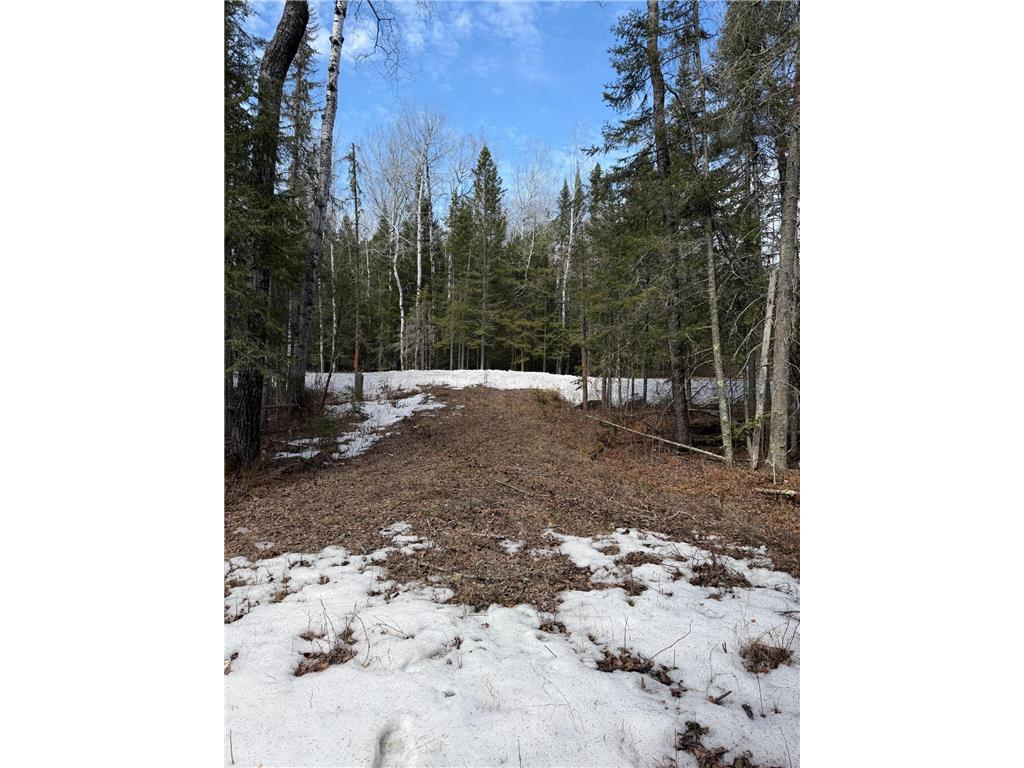 96xx Gappa Road Kabetogama Twp MN 56669 7063643 image3