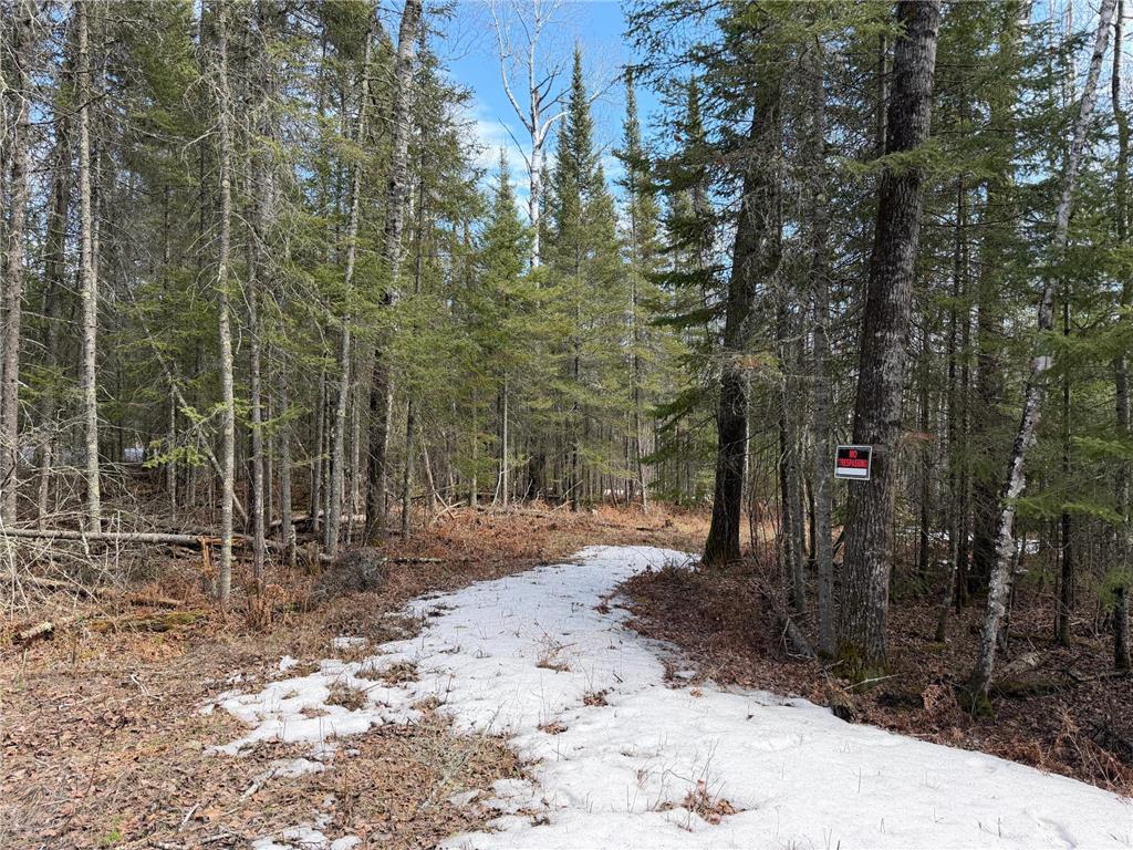 96xx Gappa Road Kabetogama Twp MN 56669 7063643 image4