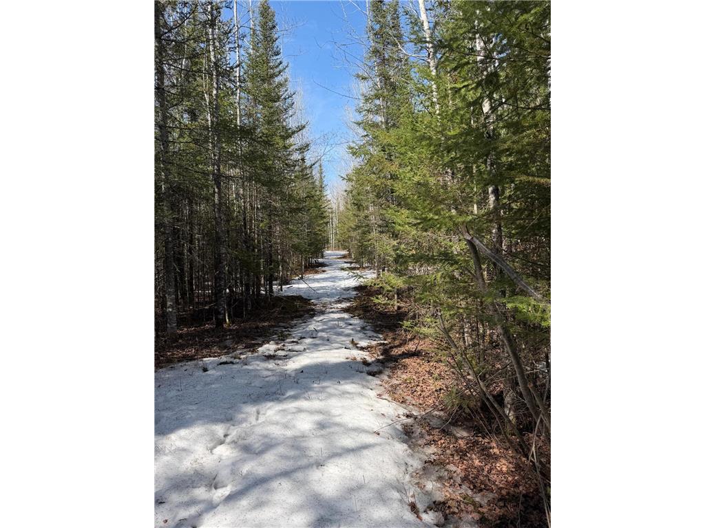 96xx Gappa Road Kabetogama Twp MN 56669 7063643 image5
