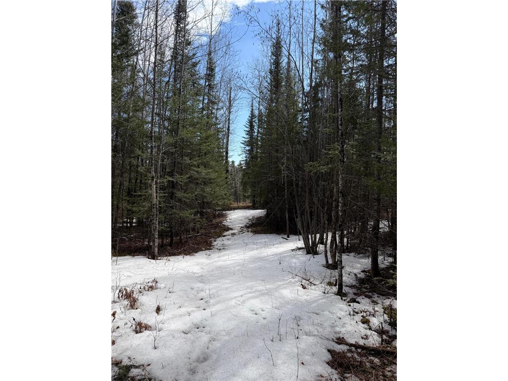 96xx Gappa Road Kabetogama Twp MN 56669 7063643 image7