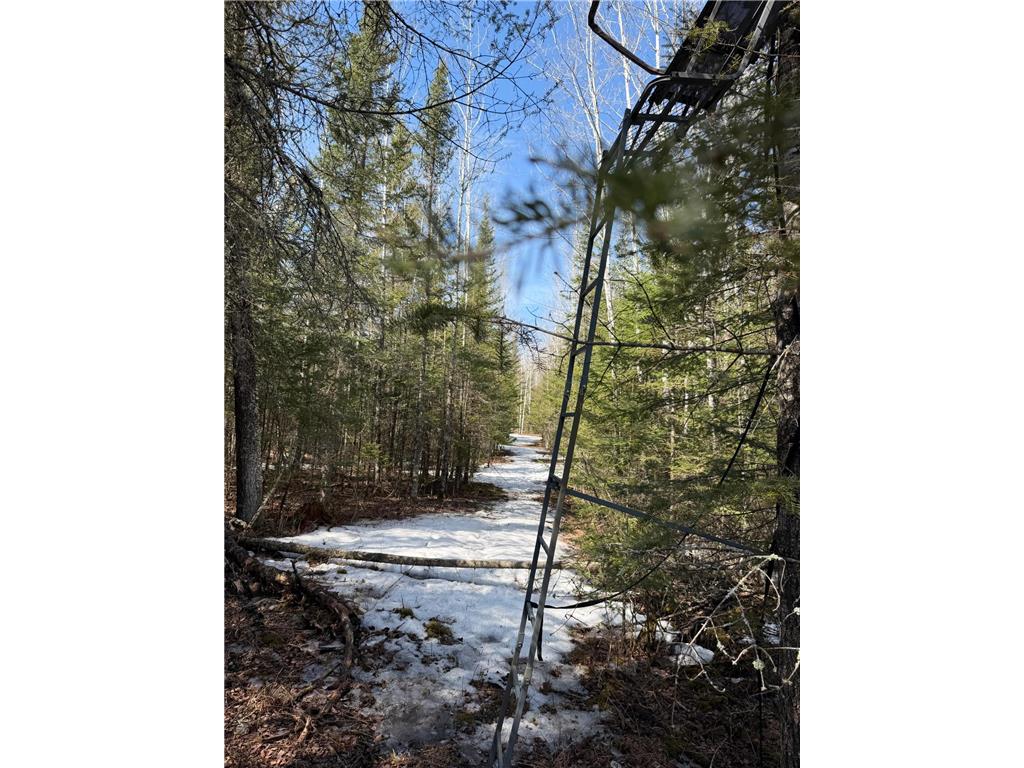 96xx Gappa Road Kabetogama Twp MN 56669 7063643 image8
