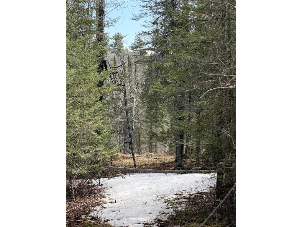 96xx Gappa Road Kabetogama Twp MN 56669 7063643 image9