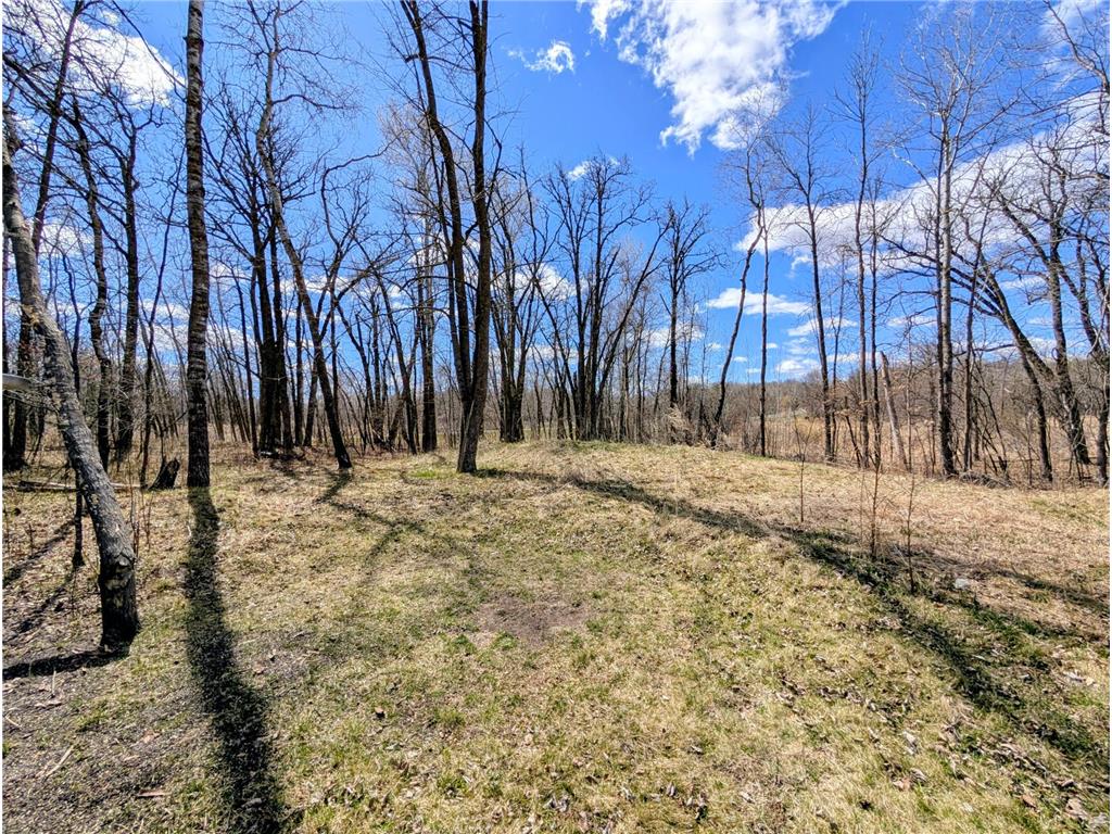 970 Wynkoop Road NW Durand Twp MN 56667 7070850 image19