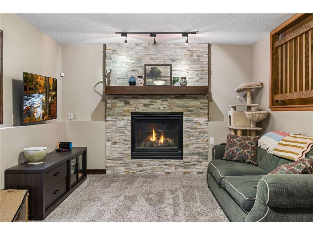 9704 172nd Street W Lakeville MN 55044 7091886 image15