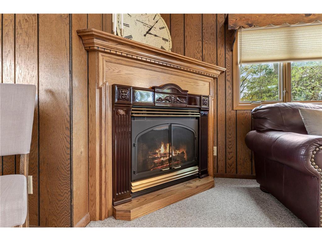 9706 Foley Boulevard NW Coon Rapids MN 55433 7037532 image14