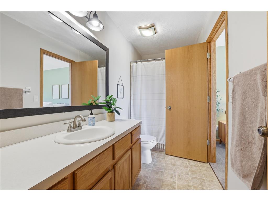 971 Lacy Court Belle Plaine MN 56011 7078069 image15