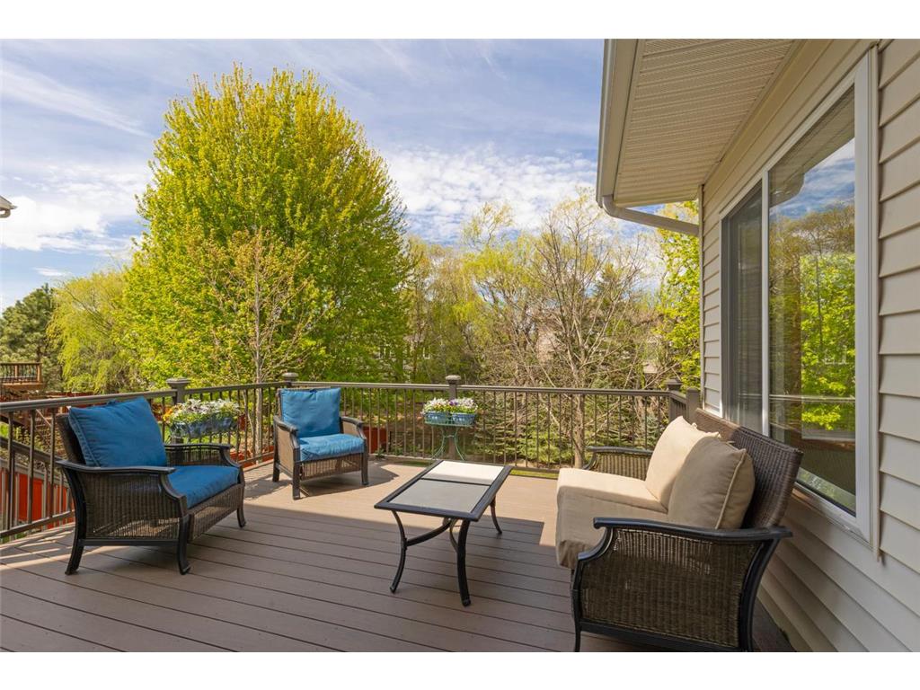 9724 Geisler Road Eden Prairie MN 55347 7063132 image54