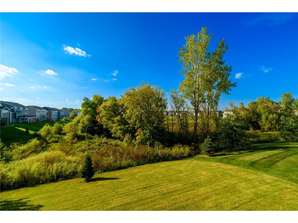 9727 Bridle Way Victoria MN 55386 6765965 image51