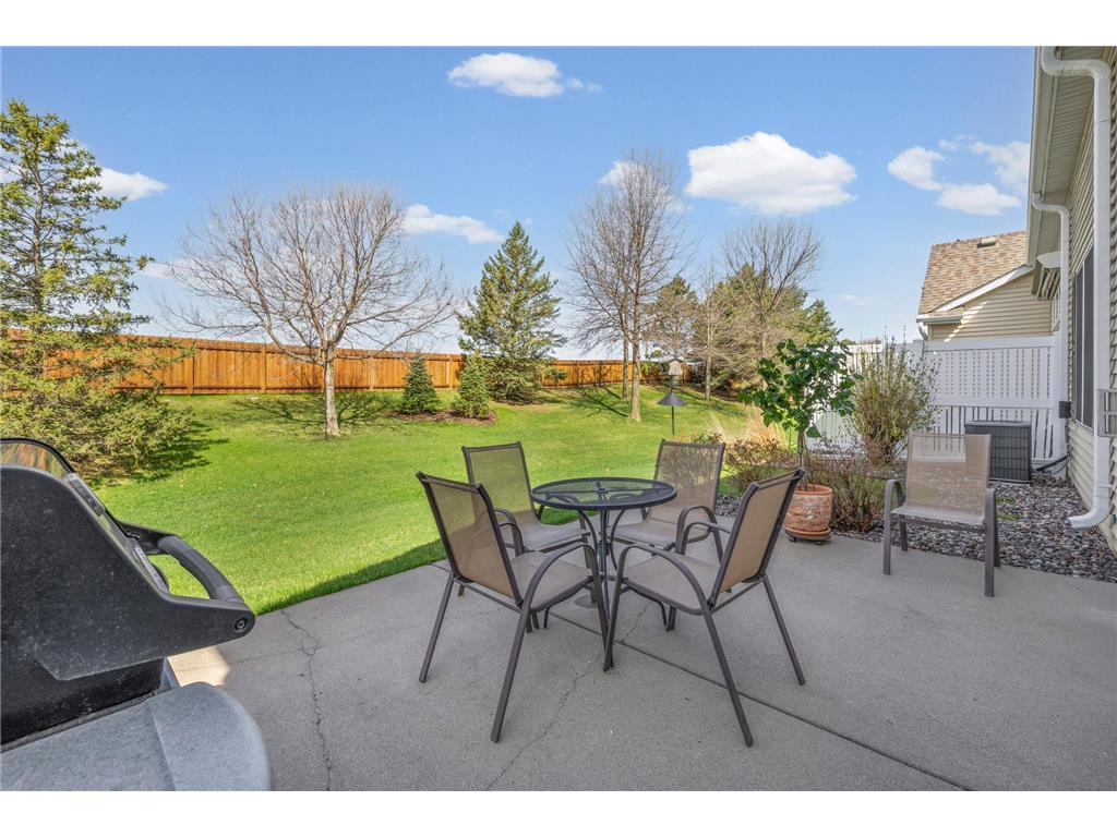 9741 Alvarado Lane N #3802 Maple Grove MN 55311 7061629 image5