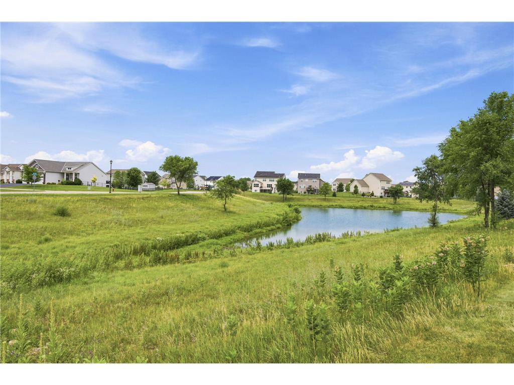 9746 Dunes Lane Cottage Grove MN 55016 7105635 image51