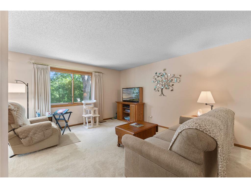 975 Heritage Court E #206 Vadnais Heights MN 55127 7086428 image6