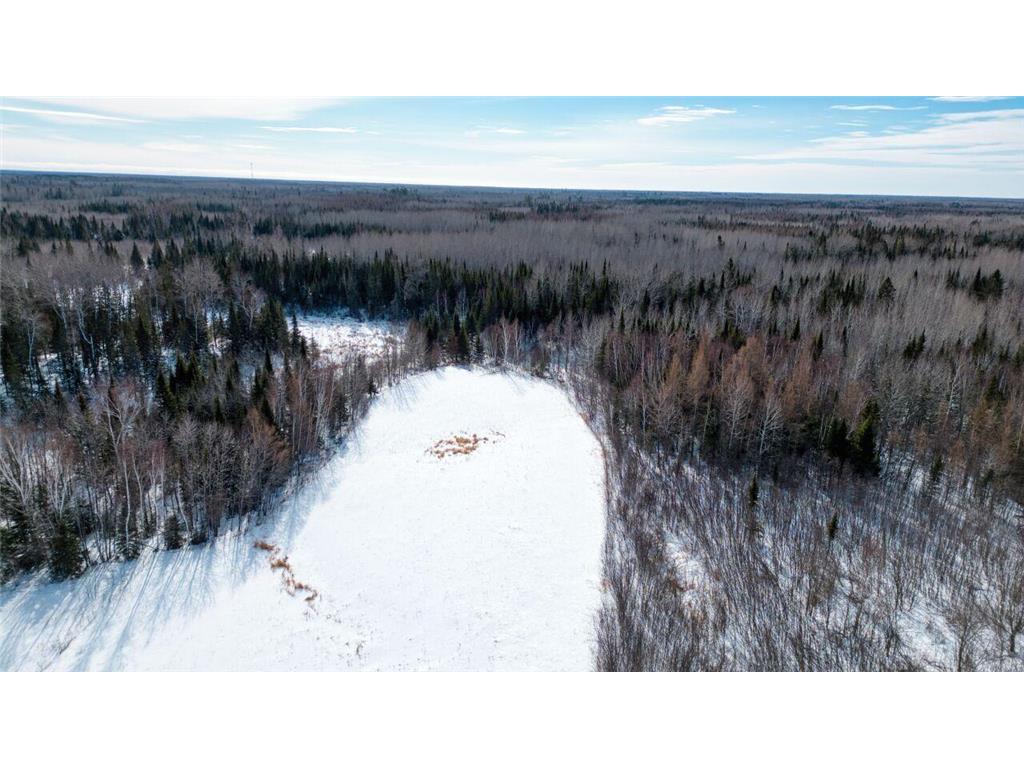 9764 Zim Road Lavell Twp MN 55738 7025743 image67