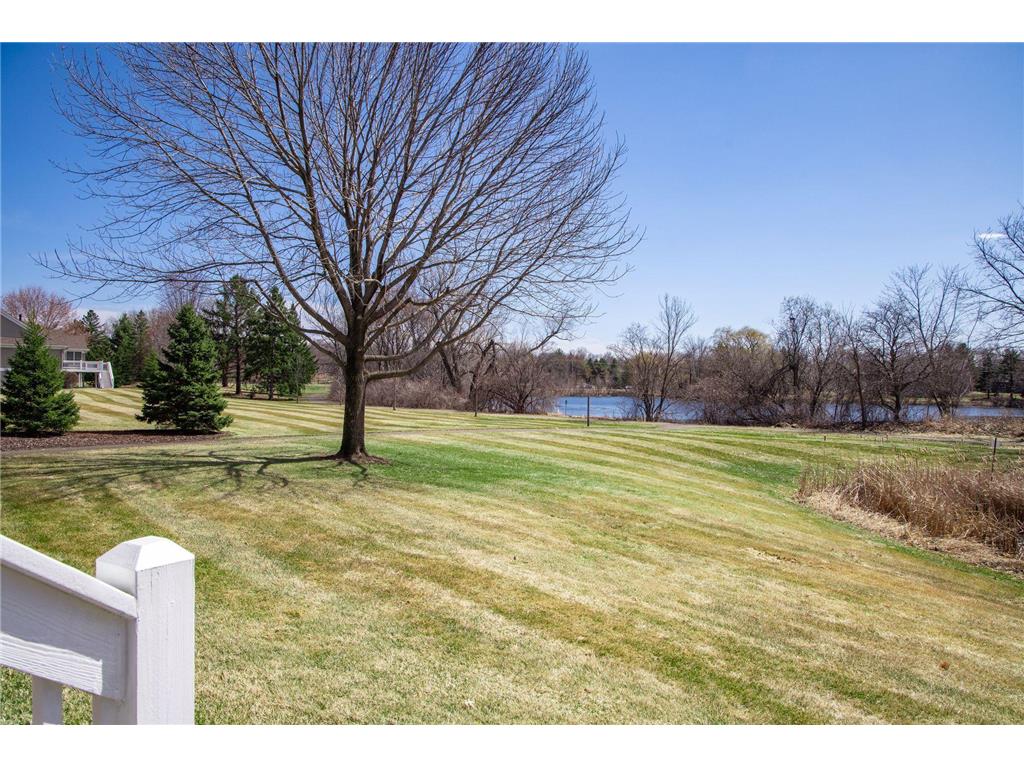 9773 Wedgewood Circle Woodbury MN 55125 7031864 image49