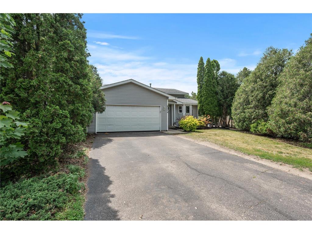 9774 Hames Court S Cottage Grove MN 55016 6379774 image1