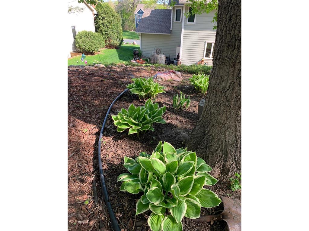 9780 170th Street W Lakeville MN 55044 6808228 image2