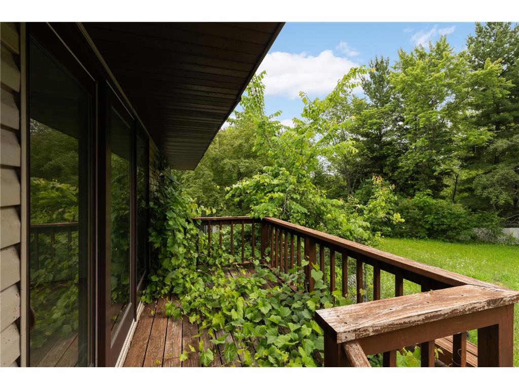 9785 Alaureate Court Inver Grove Heights MN 55077 7096393 image28