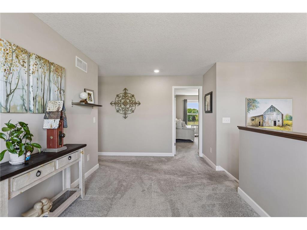 9789 Glacial Valley Bay Woodbury MN 55129 7077242 image26