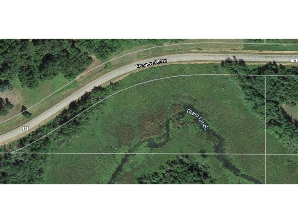97xx Trengove Road NW Grant Valley Twp MN 56601 7067002 image5