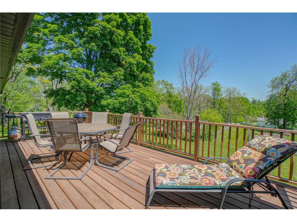 980 Rosabell Street Marine On Saint Croix MN 55047 7061830 image1