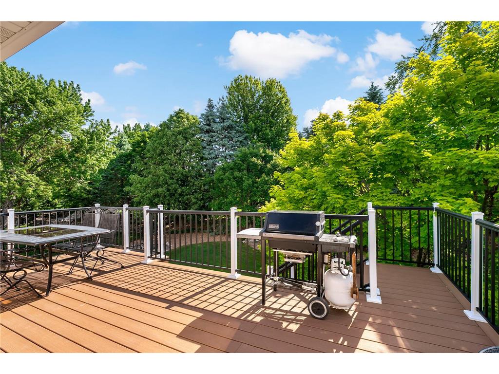 9800 Evergreen Avenue N Brooklyn Park MN 55443 7085313 image44