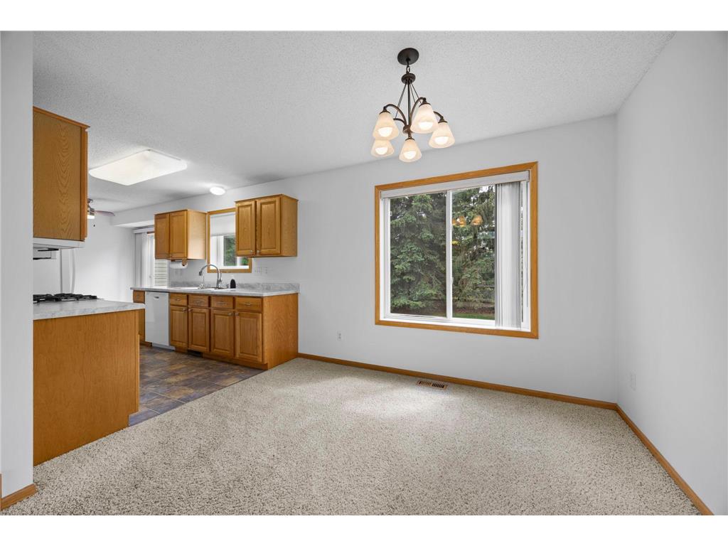 9804 Hamlet Lane S Cottage Grove MN 55016 7065071 image13