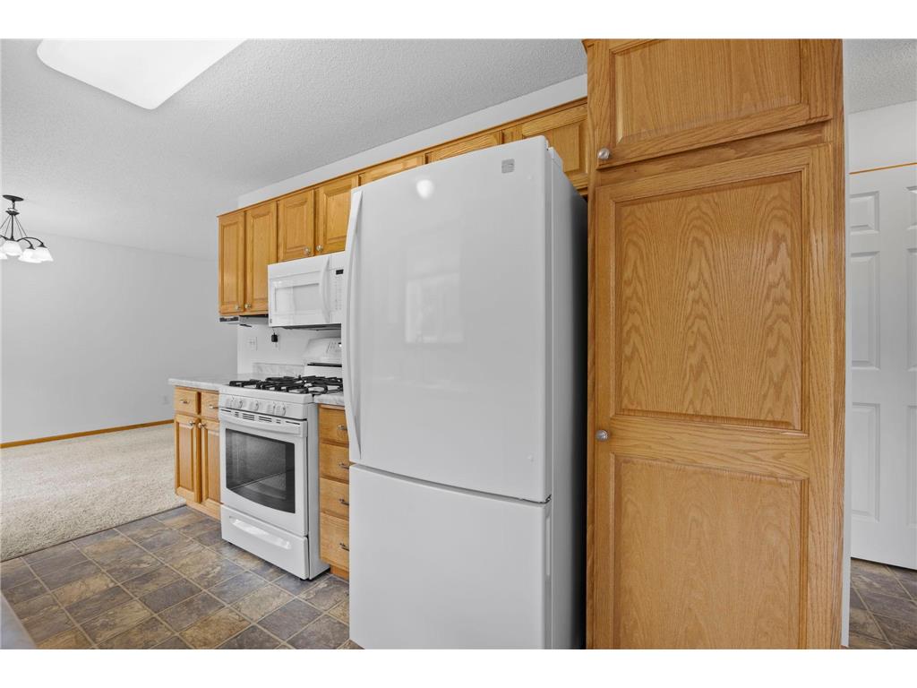 9804 Hamlet Lane S Cottage Grove MN 55016 7065071 image17